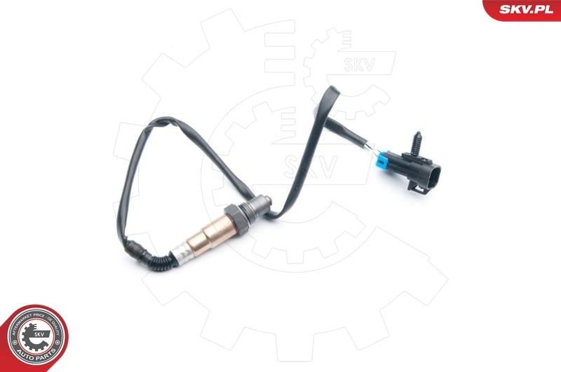 Oxygen Sensor